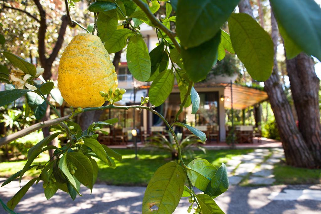 Hotel Andreaneri Marina di Pietrasanta Buitenkant foto